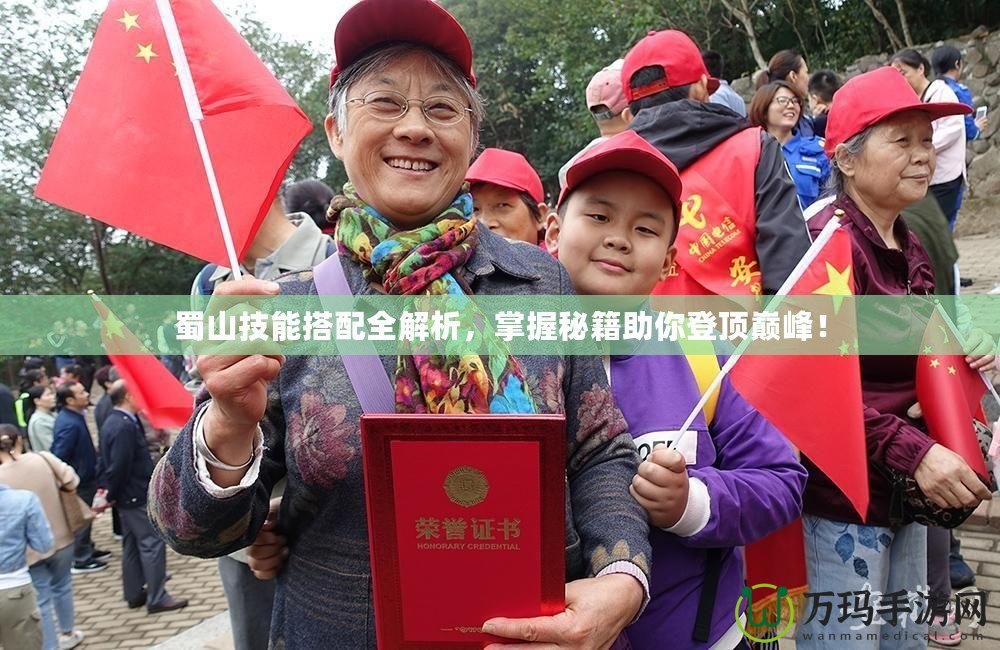 蜀山技能搭配全解析，掌握秘籍助你登頂巔峰！