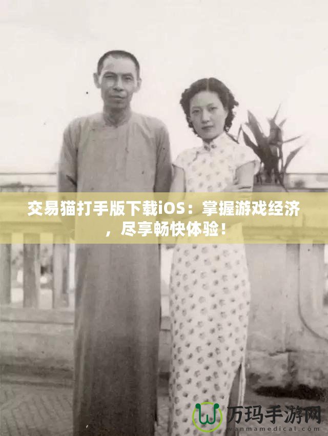 交易貓打手版下載iOS：掌握游戲經(jīng)濟，盡享暢快體驗！