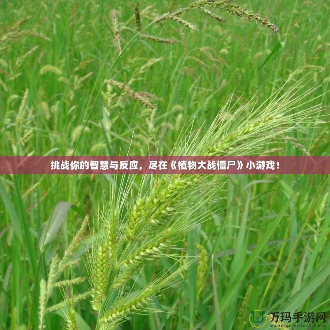 挑戰你的智慧與反應，盡在《植物大戰僵尸》小游戲！