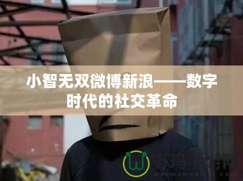小智無雙微博新浪——數(shù)字時代的社交革命