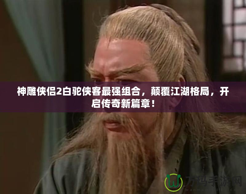 神雕俠侶2白駝俠客最強組合，顛覆江湖格局，開啟傳奇新篇章！
