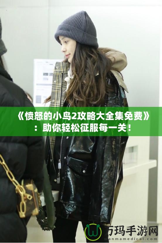 《憤怒的小鳥2攻略大全集免費》：助你輕松征服每一關！