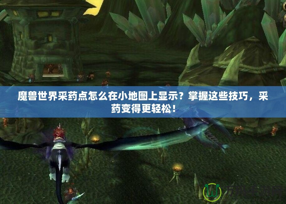 魔獸世界采藥點怎么在小地圖上顯示？掌握這些技巧，采藥變得更輕松！