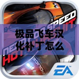 極品飛車漢化補丁怎么用不了？快速解決方法全解析