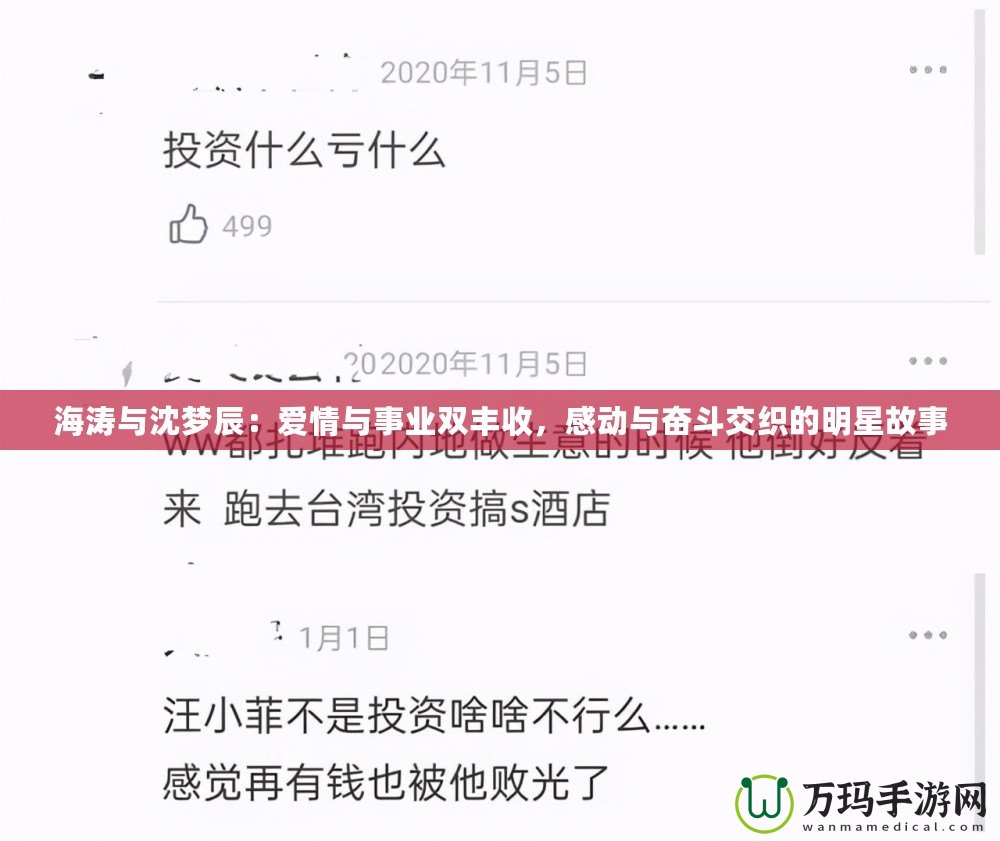 海濤與沈夢辰：愛情與事業雙豐收，感動與奮斗交織的明星故事
