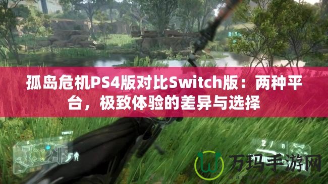 孤島危機PS4版對比Switch版：兩種平臺，極致體驗的差異與選擇