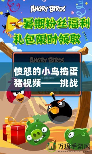 憤怒的小鳥搗蛋豬視頻——挑戰與樂趣的完美結合