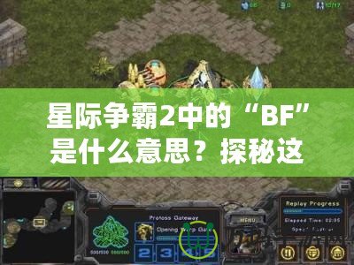 星際爭霸2中的“BF”是什么意思？探秘這個詞匯背后的深層含義