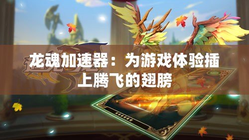 龍魂加速器：為游戲體驗插上騰飛的翅膀