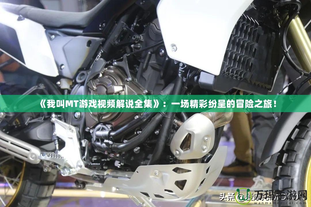 《我叫MT游戲視頻解說全集》：一場精彩紛呈的冒險之旅！