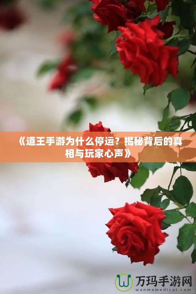 《道王手游為什么停運(yùn)？揭秘背后的真相與玩家心聲》