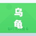 烏龜藥引：傳統智慧與現代健康的完美結合