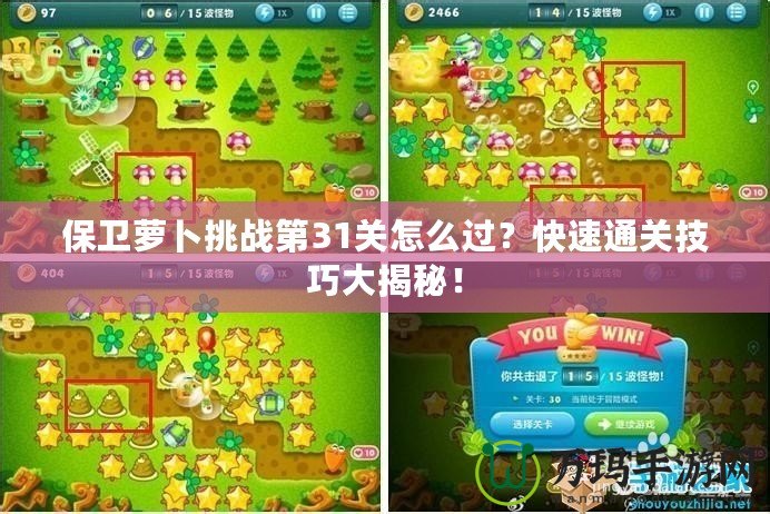 保衛蘿卜挑戰第31關怎么過？快速通關技巧大揭秘！