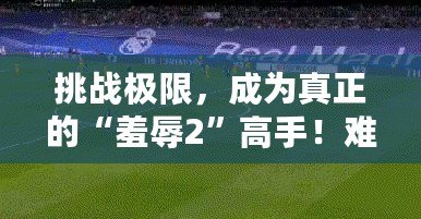 挑戰(zhàn)極限，成為真正的“羞辱2”高手！難度選擇解析與游戲技巧指南