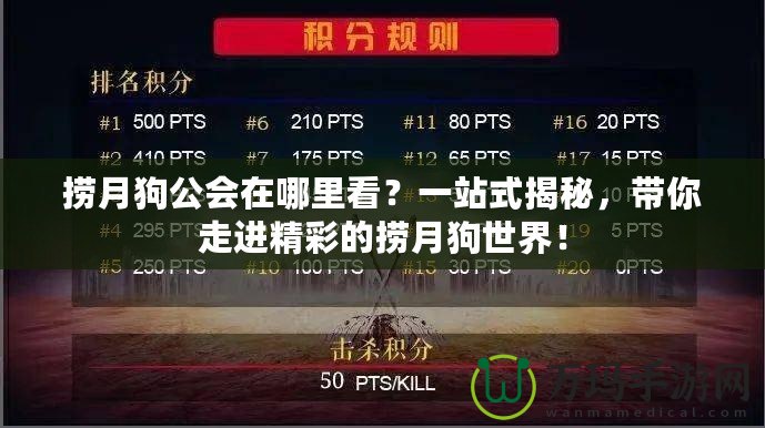 撈月狗公會在哪里看？一站式揭秘，帶你走進精彩的撈月狗世界！
