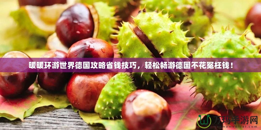 暖暖環(huán)游世界德國攻略省錢技巧，輕松暢游德國不花冤枉錢！