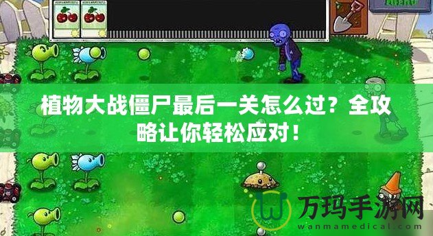 植物大戰僵尸最后一關怎么過？全攻略讓你輕松應對！