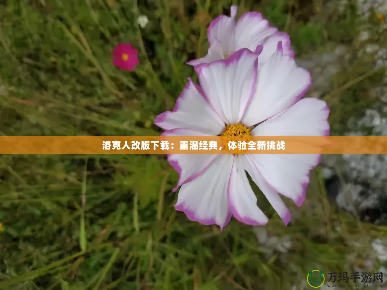 洛克人改版下載：重溫經典，體驗全新挑戰