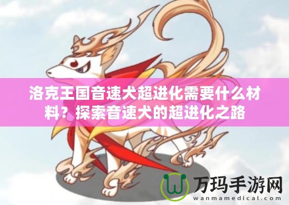 洛克王國音速犬超進化需要什么材料？探索音速犬的超進化之路