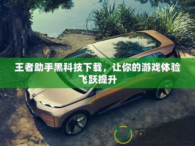王者助手黑科技下載，讓你的游戲體驗飛躍提升