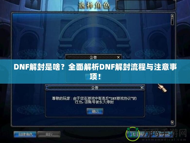 DNF解封是啥？全面解析DNF解封流程與注意事項！