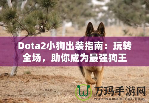 Dota2小狗出裝指南：玩轉(zhuǎn)全場(chǎng)，助你成為最強(qiáng)狗王