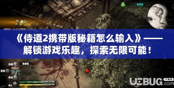 《侍道2攜帶版秘籍怎么輸入》——解鎖游戲樂趣，探索無限可能！