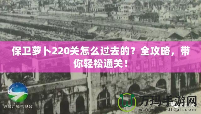 保衛(wèi)蘿卜220關(guān)怎么過去的？全攻略，帶你輕松通關(guān)！