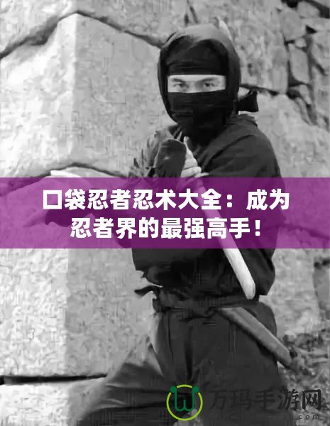 口袋忍者忍術大全：成為忍者界的最強高手！