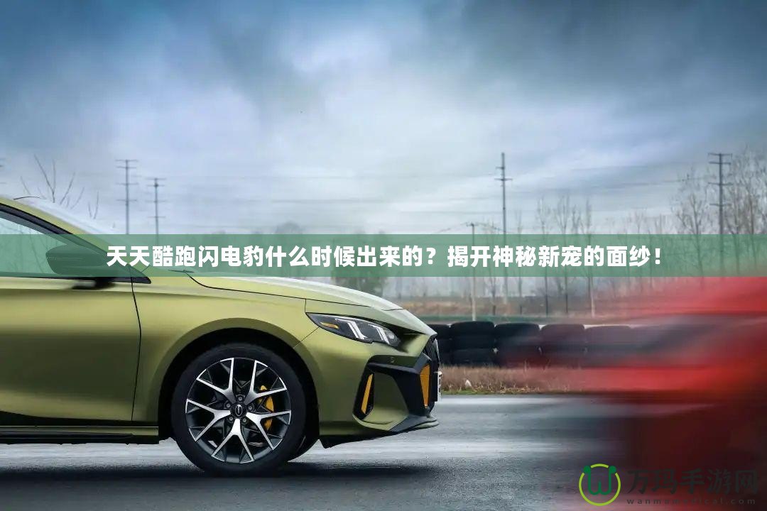 天天酷跑閃電豹什么時候出來的？揭開神秘新寵的面紗！