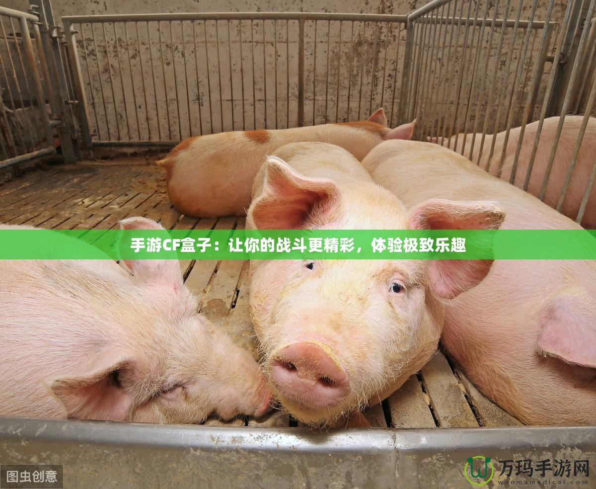 手游CF盒子：讓你的戰(zhàn)斗更精彩，體驗極致樂趣