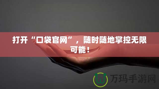 打開“口袋官網”，隨時隨地掌控無限可能！