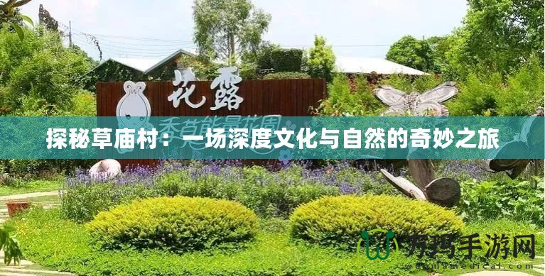 探秘草廟村：一場深度文化與自然的奇妙之旅