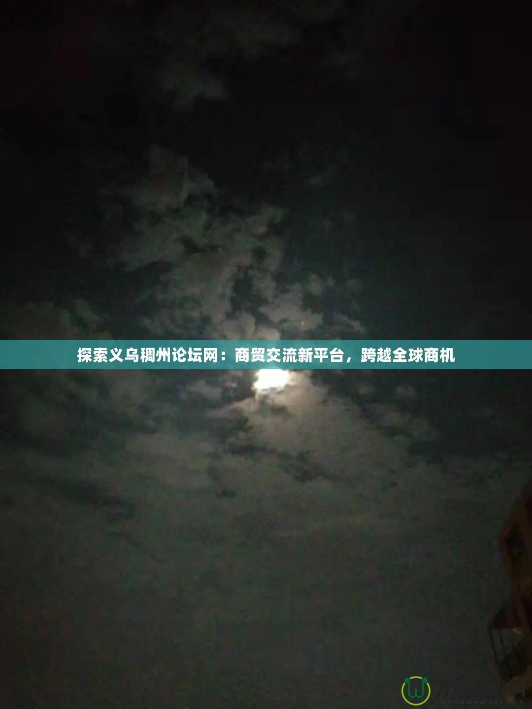 探索義烏稠州論壇網：商貿交流新平臺，跨越全球商機
