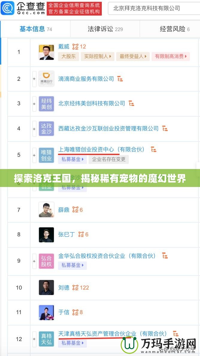 探索洛克王國，揭秘稀有寵物的魔幻世界