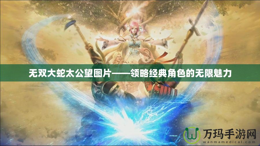 無雙大蛇太公望圖片——領略經典角色的無限魅力