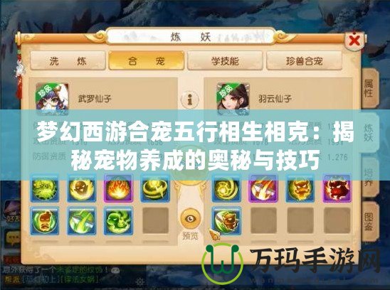 夢幻西游合寵五行相生相克：揭秘寵物養成的奧秘與技巧