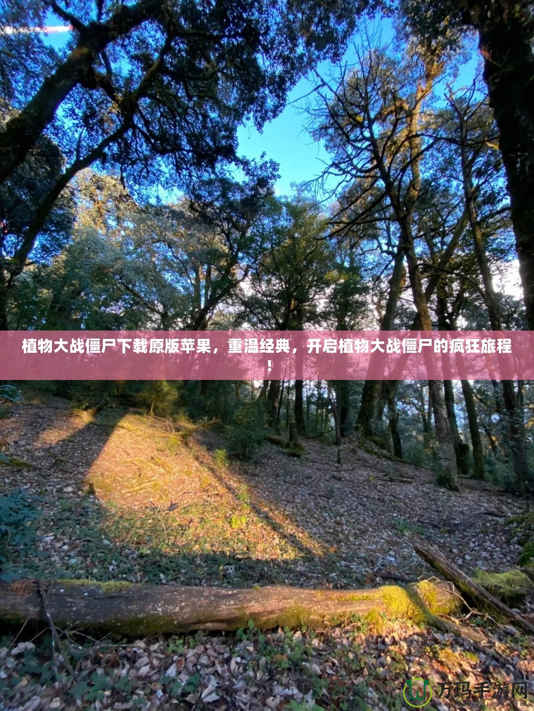 植物大戰僵尸下載原版蘋果，重溫經典，開啟植物大戰僵尸的瘋狂旅程！