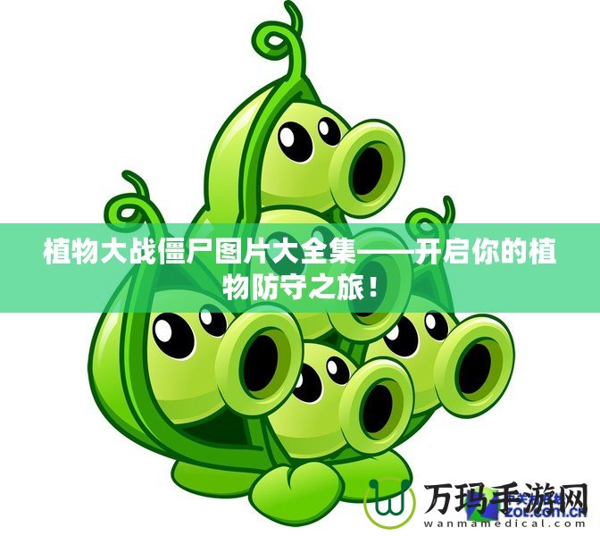 植物大戰僵尸圖片大全集——開啟你的植物防守之旅！