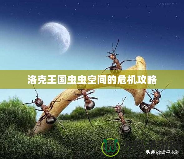 洛克王國蟲蟲空間的危機(jī)攻略
