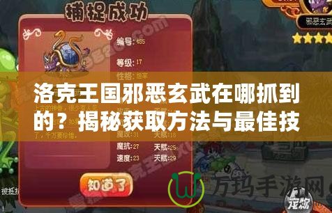洛克王國邪惡玄武在哪抓到的？揭秘獲取方法與最佳技巧！