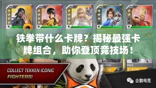 鐵拳帶什么卡牌？揭秘最強卡牌組合，助你登頂競技場！
