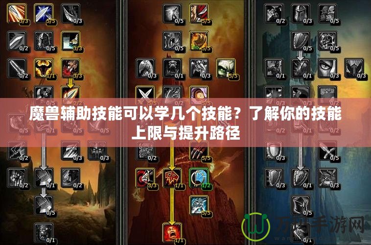 魔獸輔助技能可以學幾個技能？了解你的技能上限與提升路徑