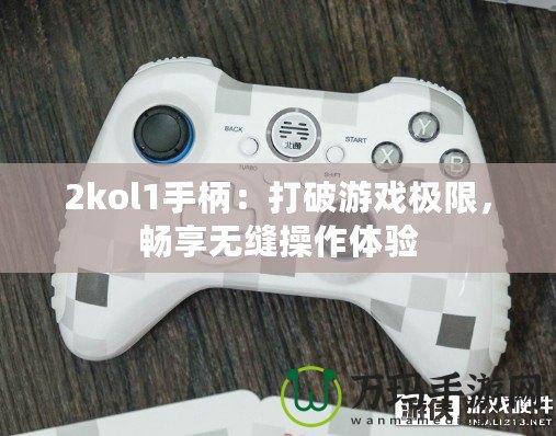 2kol1手柄：打破游戲極限，暢享無(wú)縫操作體驗(yàn)