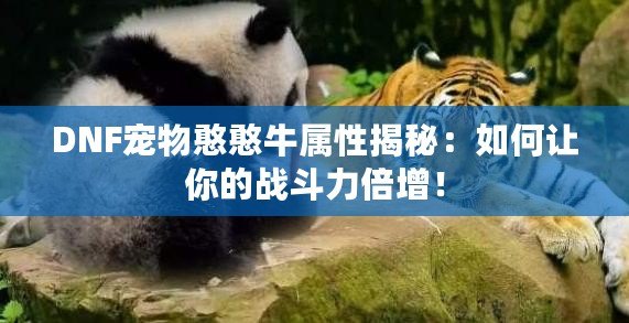 DNF寵物憨憨牛屬性揭秘：如何讓你的戰斗力倍增！
