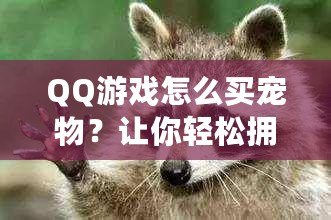 QQ游戲怎么買寵物？讓你輕松擁有超萌寵物，快來體驗吧！