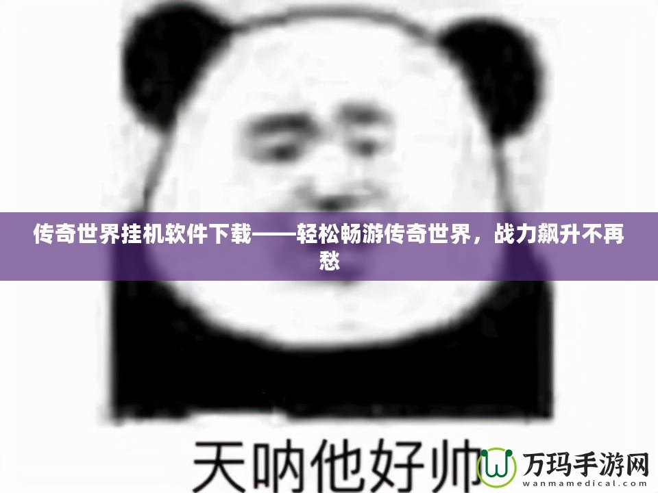 傳奇世界掛機軟件下載——輕松暢游傳奇世界，戰力飆升不再愁