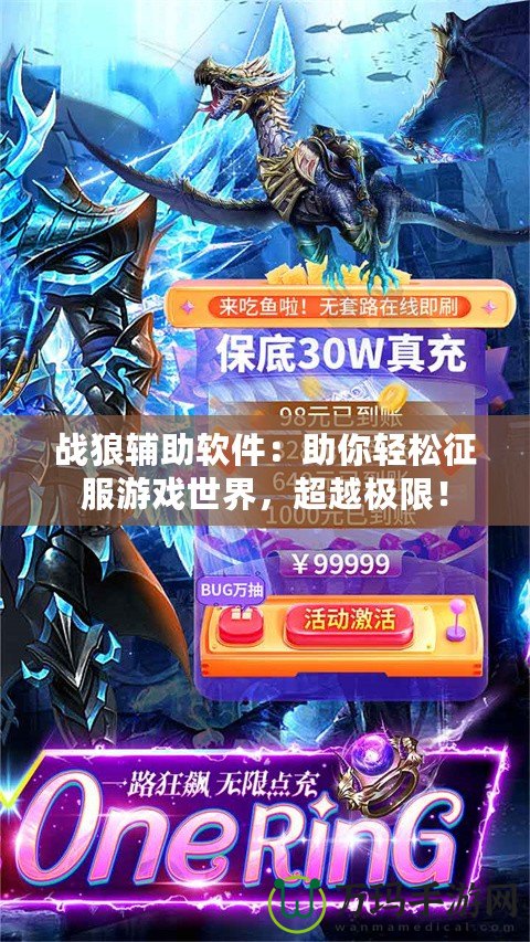 戰狼輔助軟件：助你輕松征服游戲世界，超越極限！