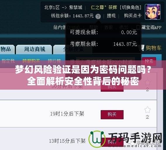 夢幻風險驗證是因為密碼問題嗎？全面解析安全性背后的秘密