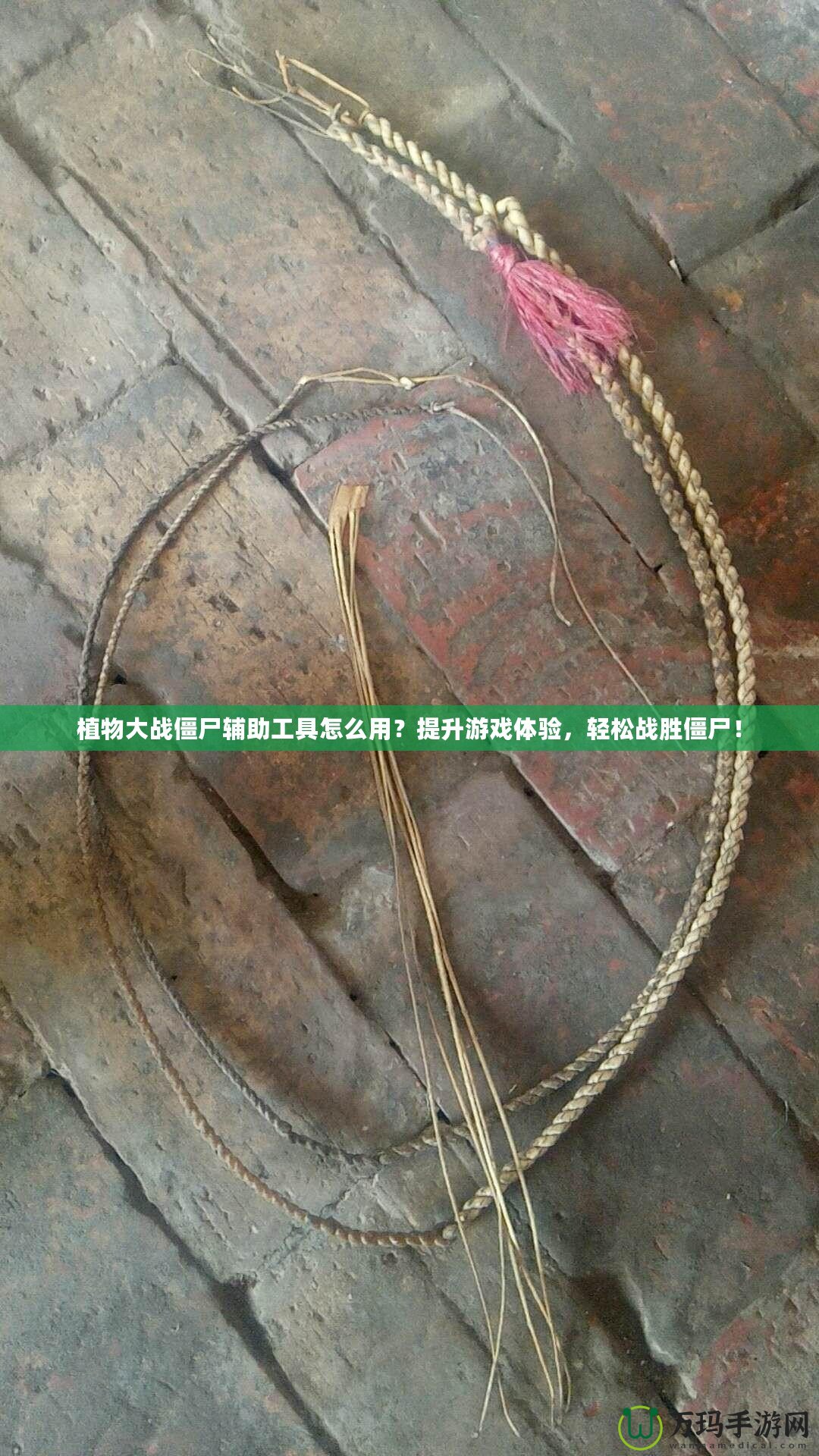 植物大戰(zhàn)僵尸輔助工具怎么用？提升游戲體驗(yàn)，輕松戰(zhàn)勝僵尸！